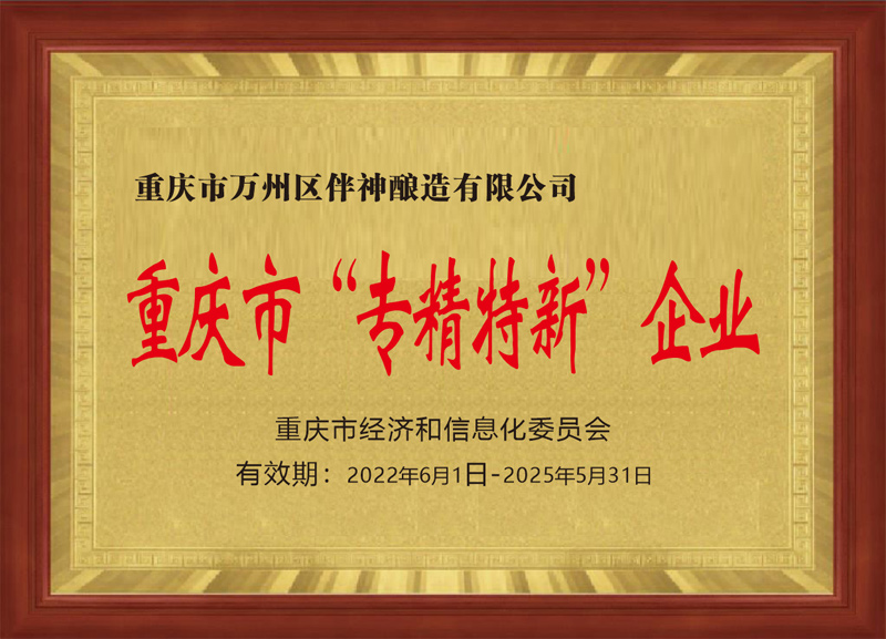 重慶市“專精特新”企業-2022