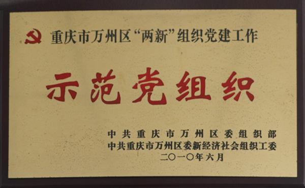 示範黨組織